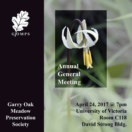 Annual General Meeting 2017