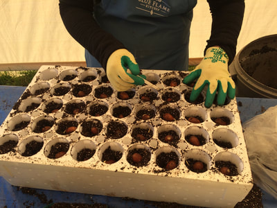 Work Party May 5, 2018 - 2