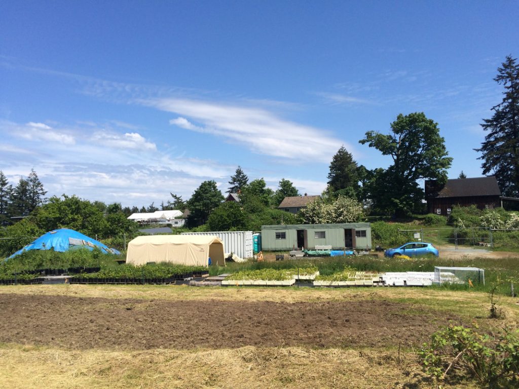 Expansion area in foreground