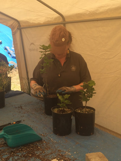 Work Party June 2, 2018 - 1