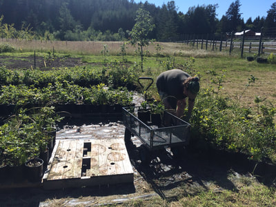 Work Party June 16, 2018 - 2