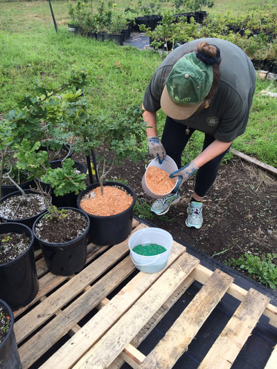 Work Party June 30, 2018 - 12