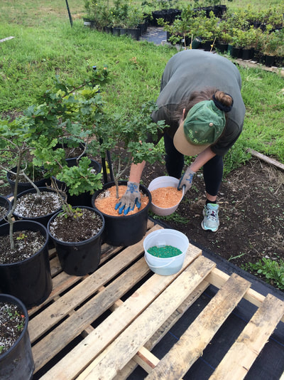 Work Party June 30, 2018 - 13