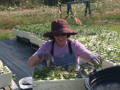 Work Party July 28, 2018 - 6