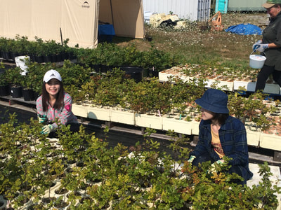 Work Party July 28, 2018 - 9