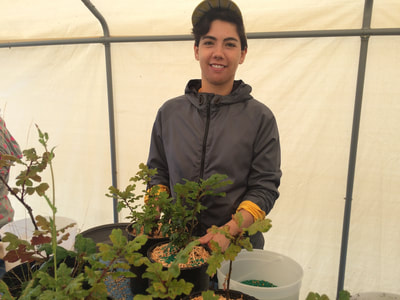 Work Party August 11, 2018 - 3