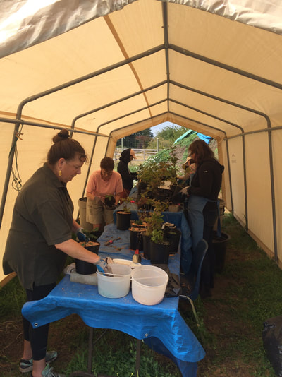 Work Party August 11, 2018 - 7