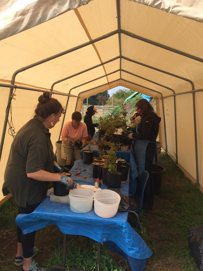 Work Party August 11, 2018 - 8