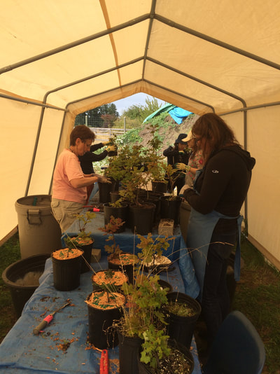 Work Party August 11, 2018 - 9