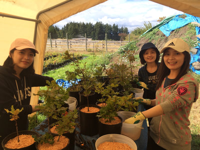 Work Party August 11, 2018 - 19