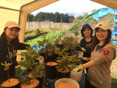 Work Party August 11, 2018 - 20