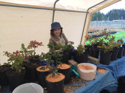 Work Party September 8, 2018 - 8