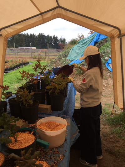 Work Party September 8, 2018 - 10