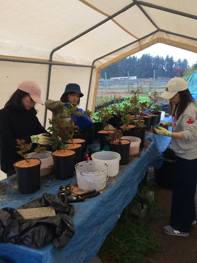 Work Party September 8, 2018 - 11