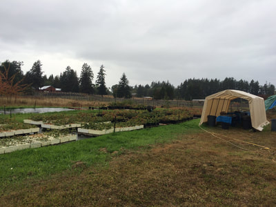 Work Party September 8, 2018 - 3