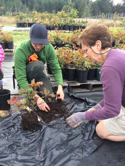 Work Party September 22, 2018 - 3