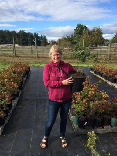 Work Party September 22, 2018 - 5