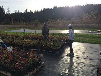 Work Party October 6, 2018 - 18