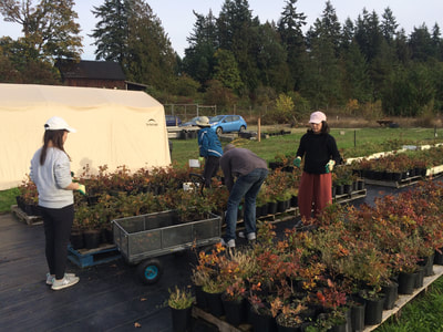 Work Party October 6, 2018 - 19