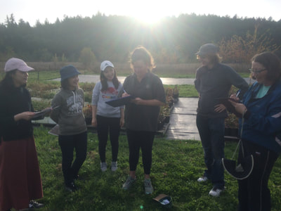 Work Party October 6, 2018 - 20