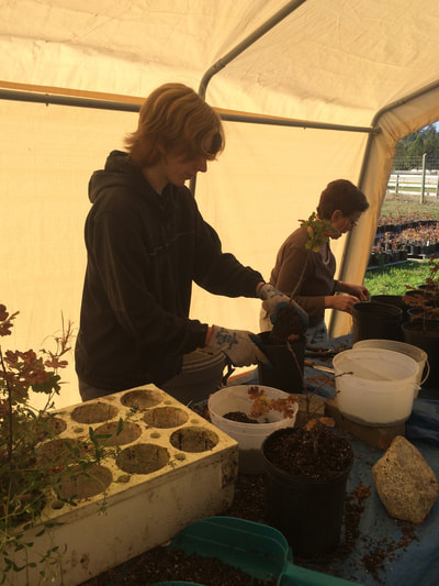 Work Party October 20, 2018 - 5