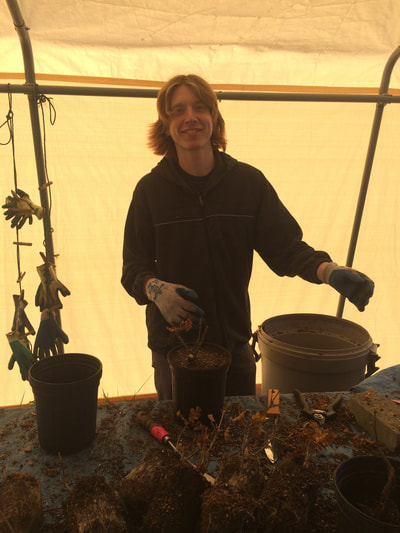 Work Party October 20, 2018 - 9