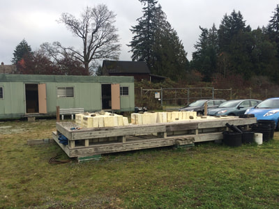 Work Party November 11, 2018 - 11