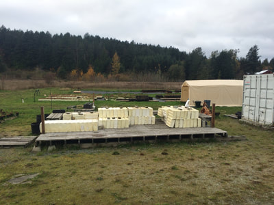 Work Party November 11, 2018 - 13