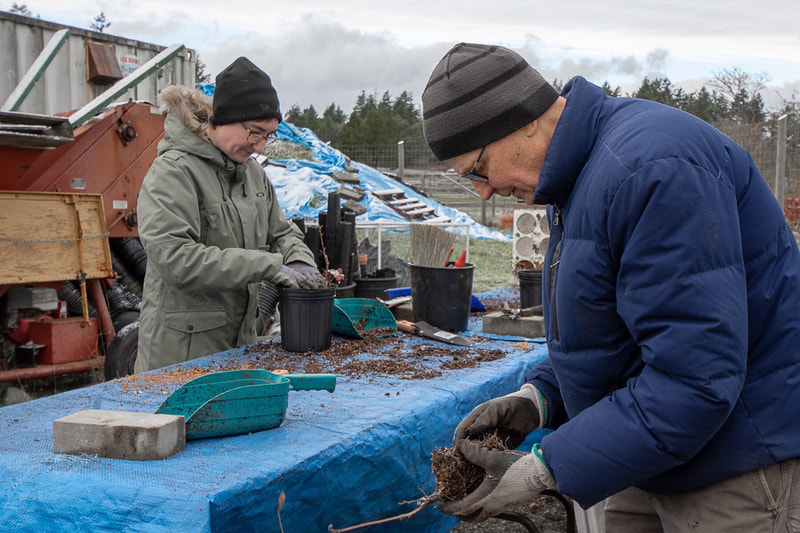 Work Party February 3, 2019 - 1