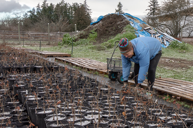 Work Party February 3, 2019 - 2