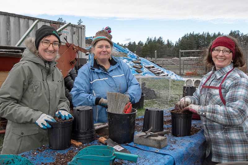 Work Party February 3, 2019 - 3