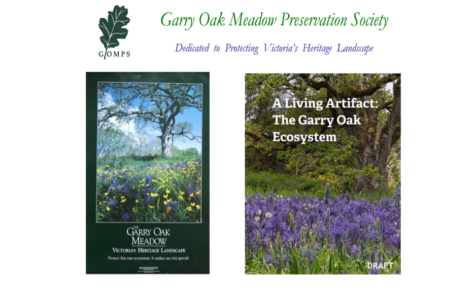 Jacklyn Jolicoeur. GOMPS Introduction to Greater Victoria NatureHood, Nov 2025.