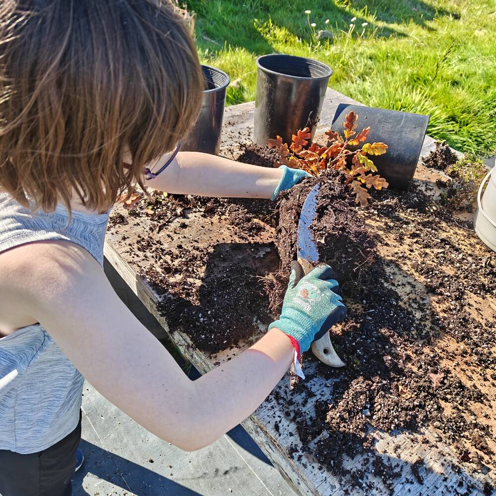 Times Colonist Oct 26, 2025 - 01