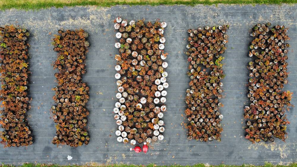 Times Colonist Oct 26, 2025 - 02