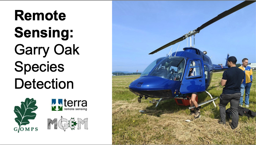 Ryan Senechal. Remote Sensing: Garry Oak Species Detection Update, GOMPS AGM, Nov 2025